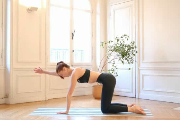 Séance 1. Centre & périnée activés